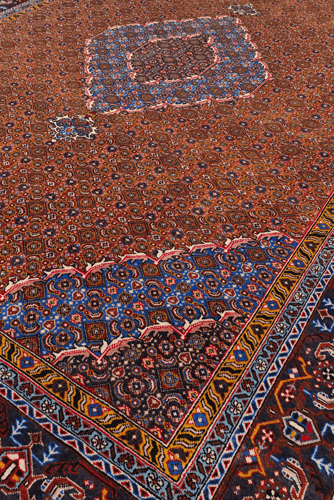Border detail of terracotta Ardabil hand-knotted rug