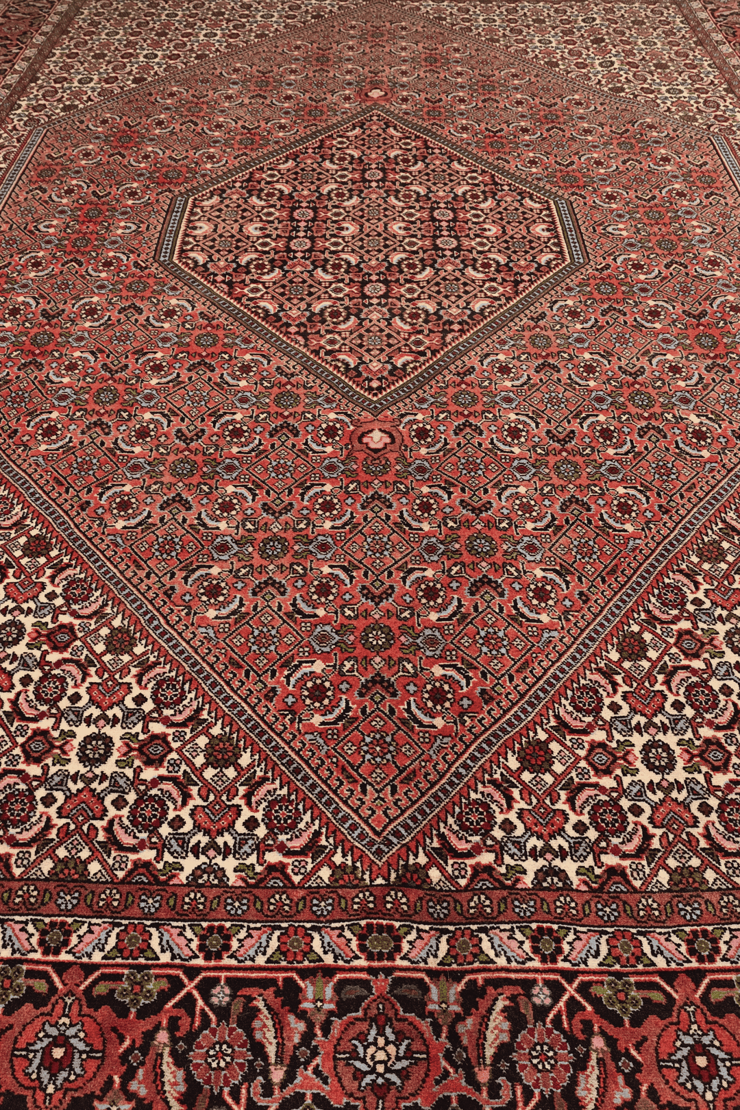 Fringe of rose Herati Persian Bijar rug