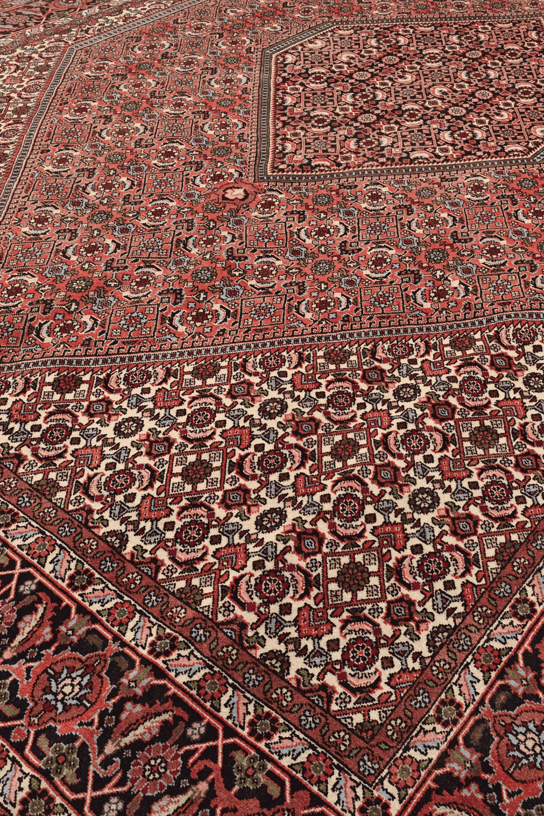 Border detail of rose Herati Bijar hand-knotted rug