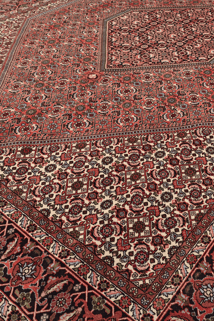 Border detail of rose Herati Bijar hand-knotted rug