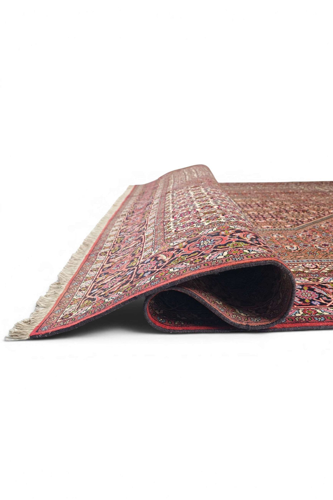 Corner of rose Herati Bijar hand-knotted rug