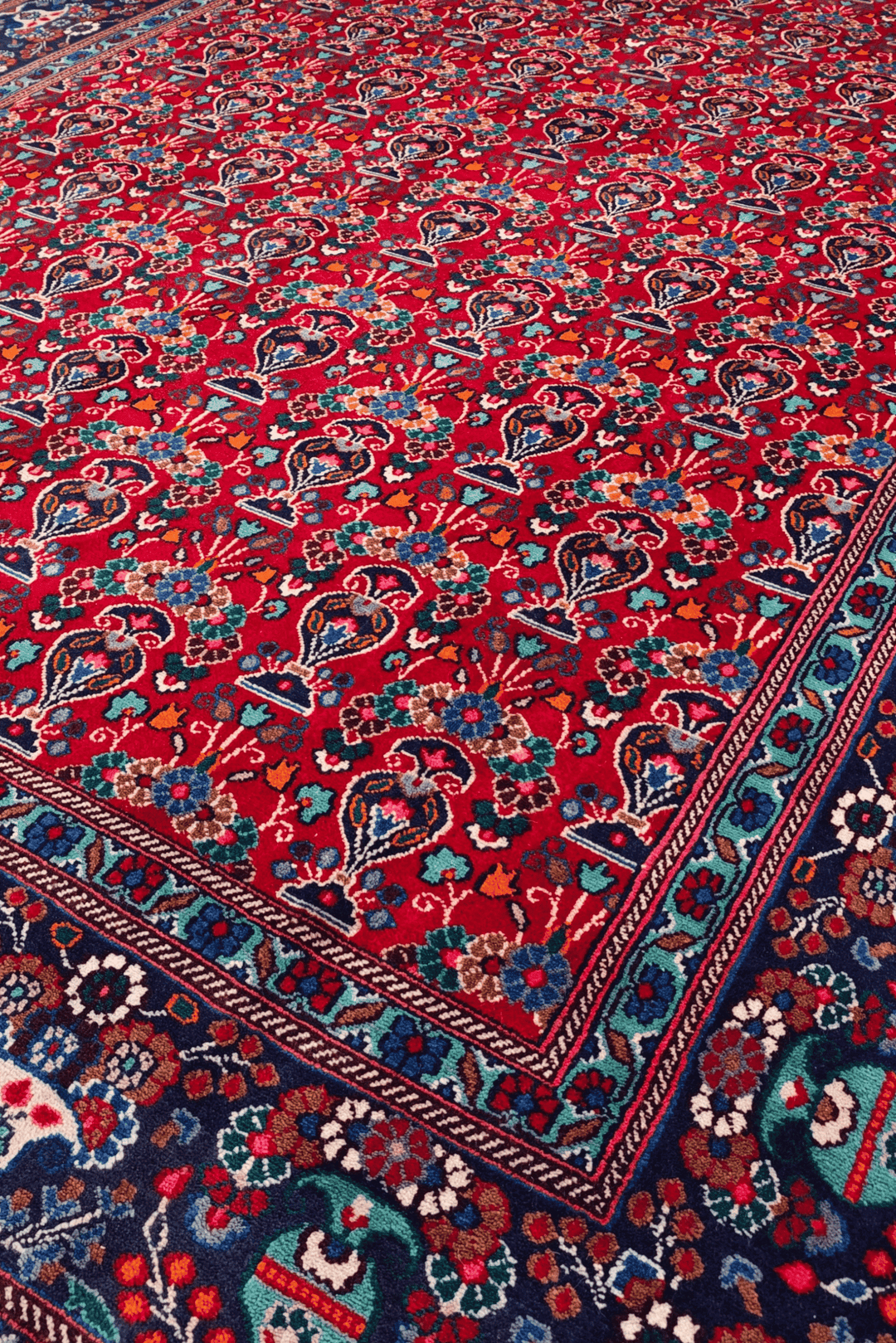 Border detail of cherry red Moud hand-knotted rug