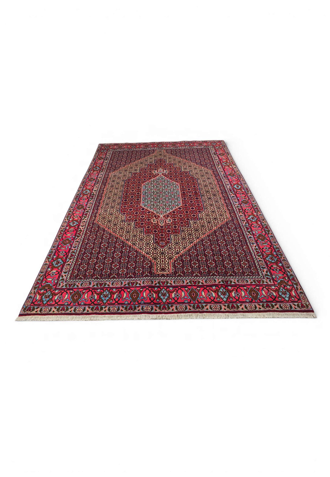 Border detail of red Herati Sabzevar hand-knotted rug