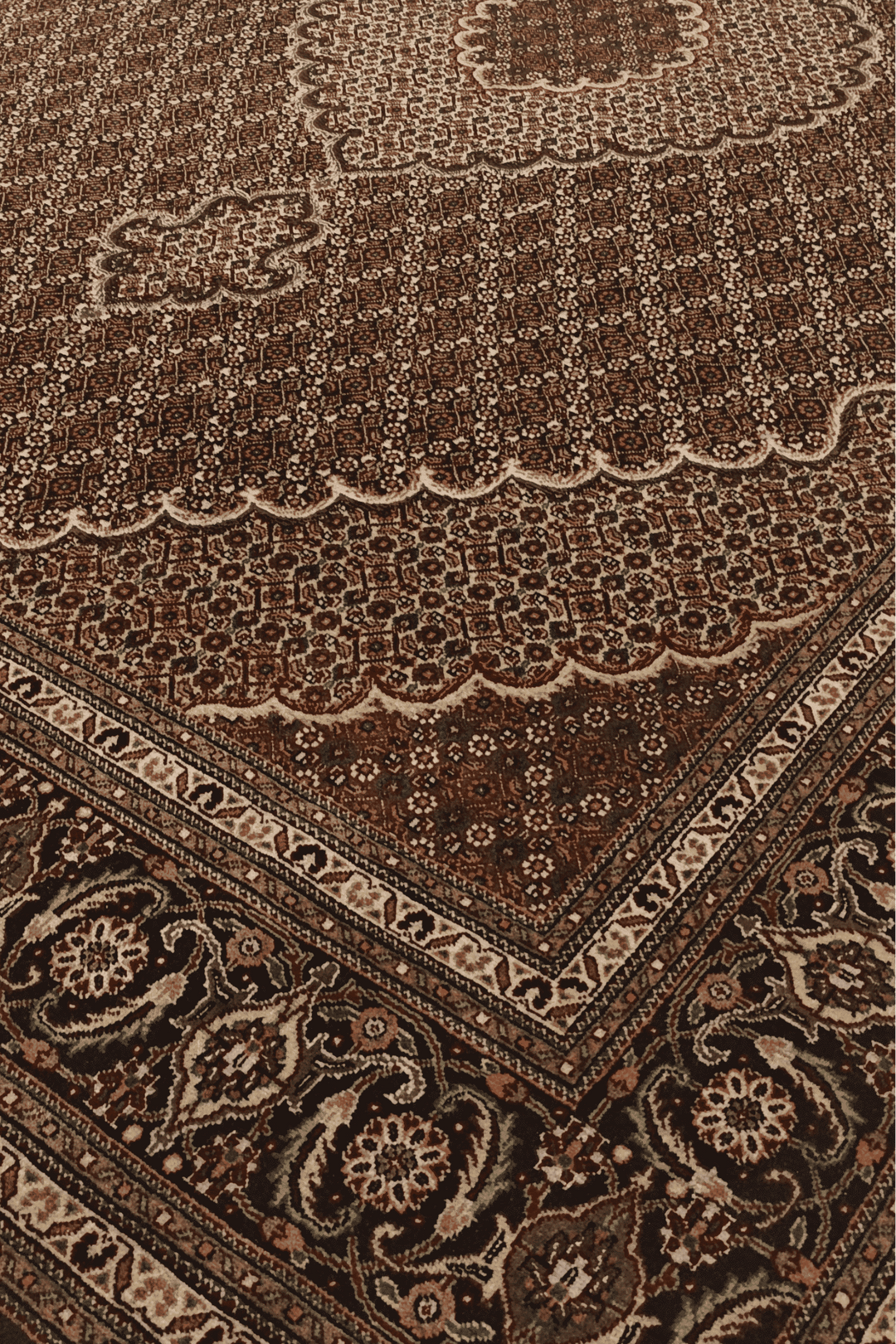 Border detail of brown mahi Tabriz hand-knotted rug