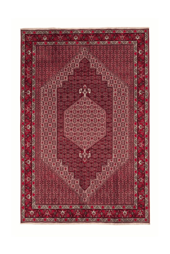 Red mahi medallion Tabriz rug, 199×307cm, about 4.5 tatami