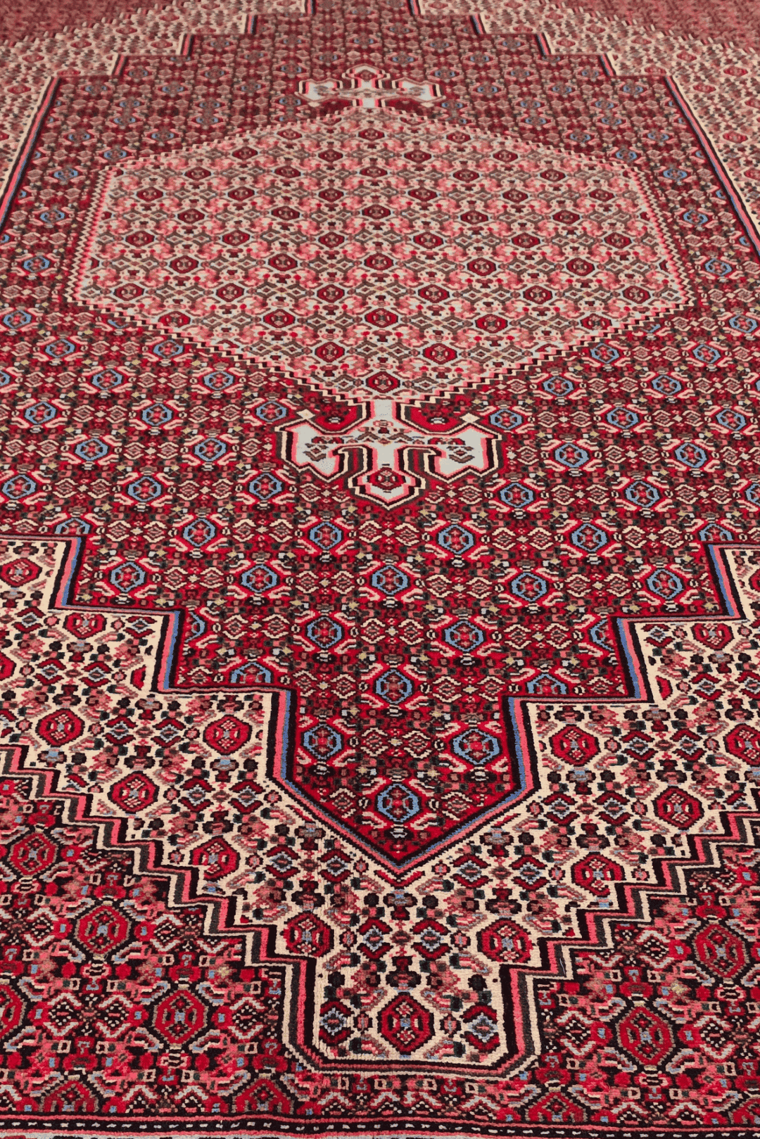 Fringe of red mahi Persian Tabriz rug